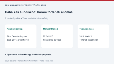 Haha Yes sündisznó története: Rizo reklámeredete, a 2015–2017-es mémterjedés és a 2019-es Tesla Model Y rendelési megjelenés
